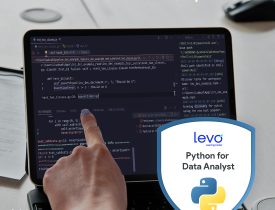 Python Data Analyst 2025